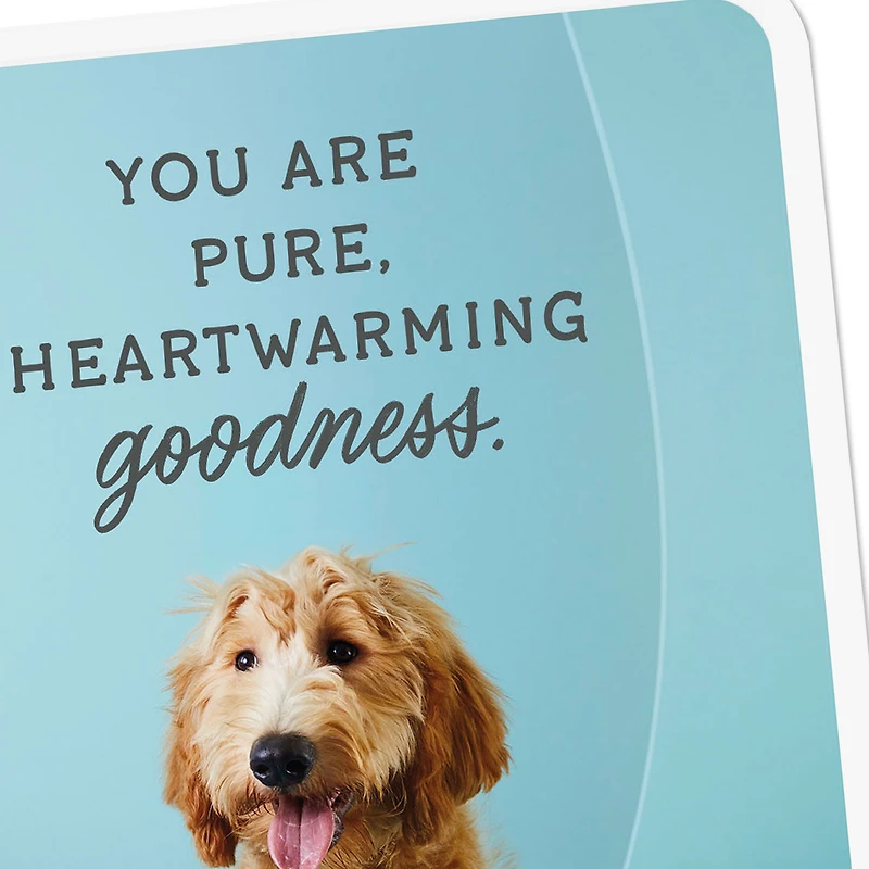 You Are Pure Goodness Thank You Card for only USD 2.99 | Hallmark