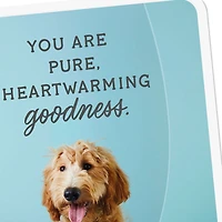 You Are Pure Goodness Thank You Card for only USD 2.99 | Hallmark