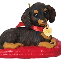 Puppy Love Long-Haired Dachshund 2025 Ornament for only USD 19.99 | Hallmark