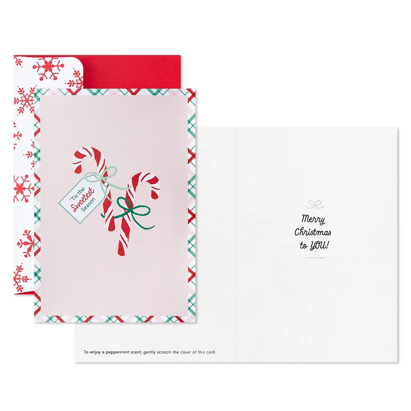 Candy Canes on Pink Scented Boxed Christmas Cards, Pack of 12 for only USD 20.49 | Hallmark