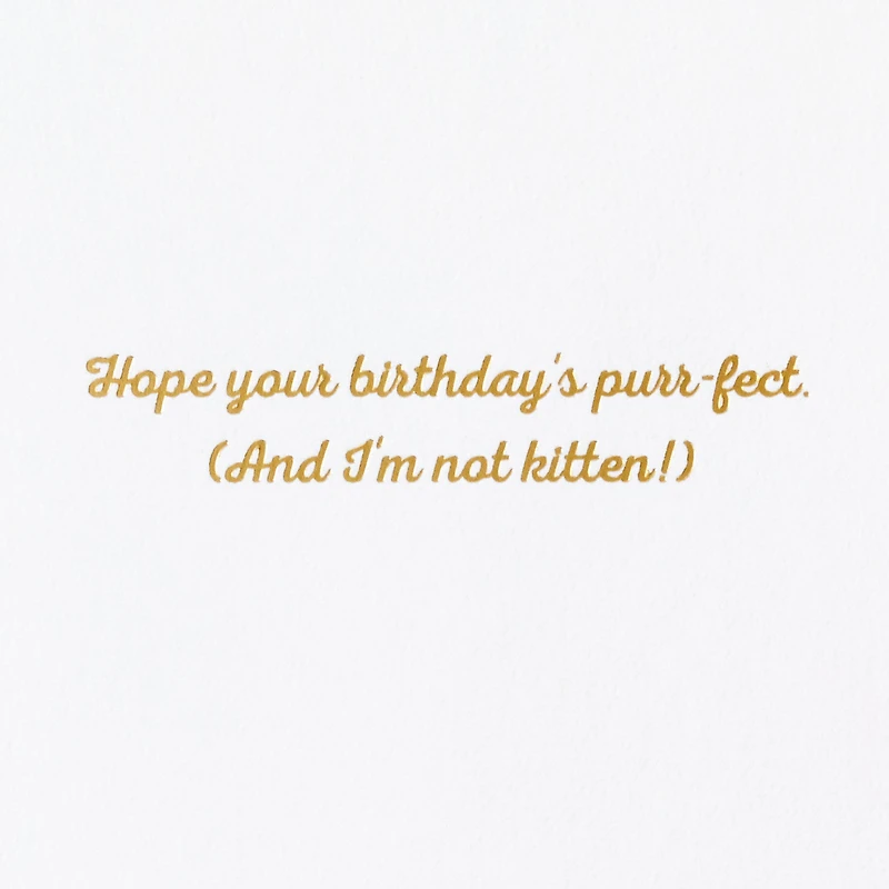 Purr-fect Day Funny Birthday Card for only USD 7.59 | Hallmark