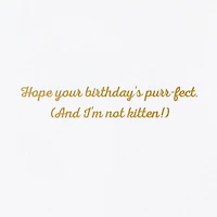 Purr-fect Day Funny Birthday Card for only USD 7.59 | Hallmark
