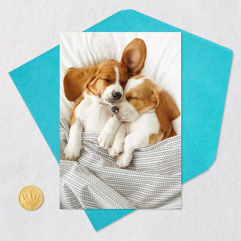Still the Cutest Anniversary Card for Couple for only USD 3.99 | Hallmark
