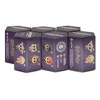 Harry Potter™ Series 4 Mystery Shatterproof Hallmark Ornament for only USD 8.49 | Hallmark