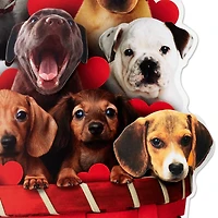 Puppy Dogs in Basket Funny Musical Valentine's Day Card for only USD 7.99 | Hallmark