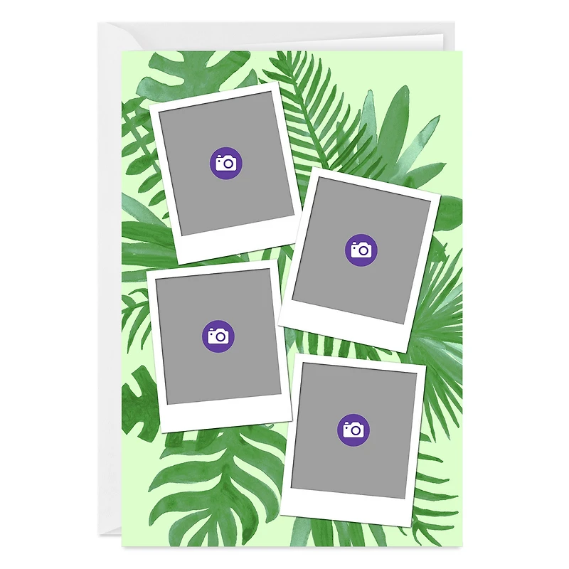 Personalized Tropical Ferns on Green Photo Card for only USD 4.99 | Hallmark