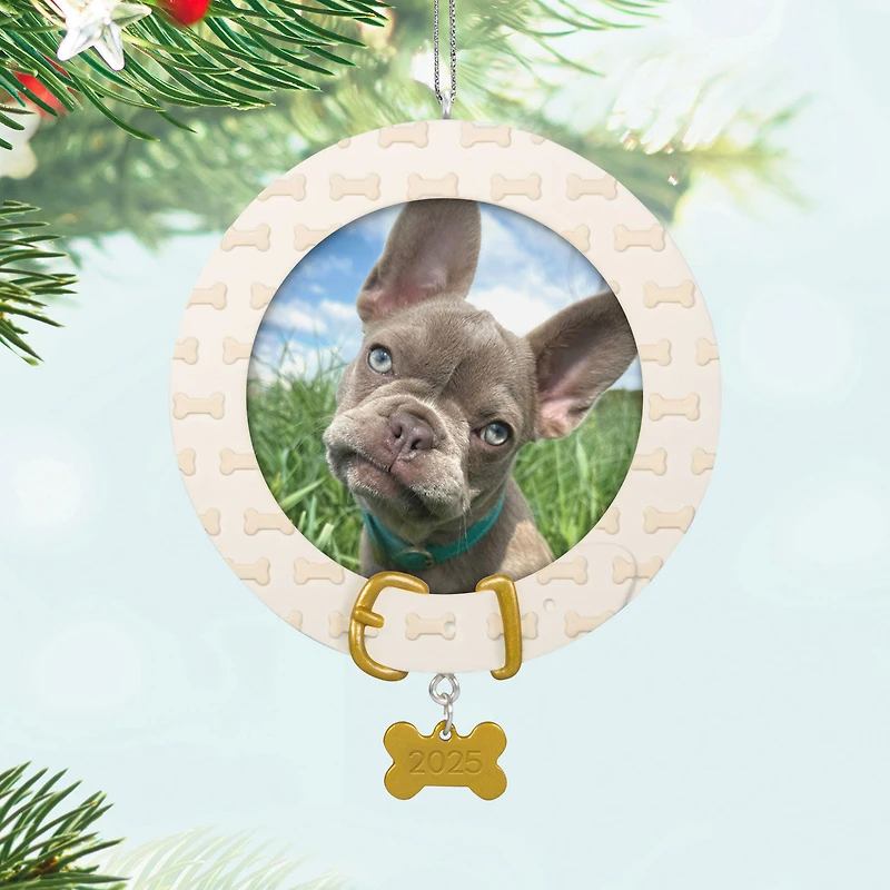 Faithful Friend 2025 Photo Frame Ornament for only USD 19.99 | Hallmark