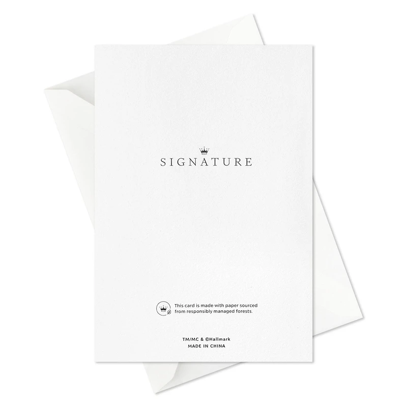 Poinsettias on Green Blank Boxed Christmas Cards, Pack of 12 for only USD 17.49 | Hallmark