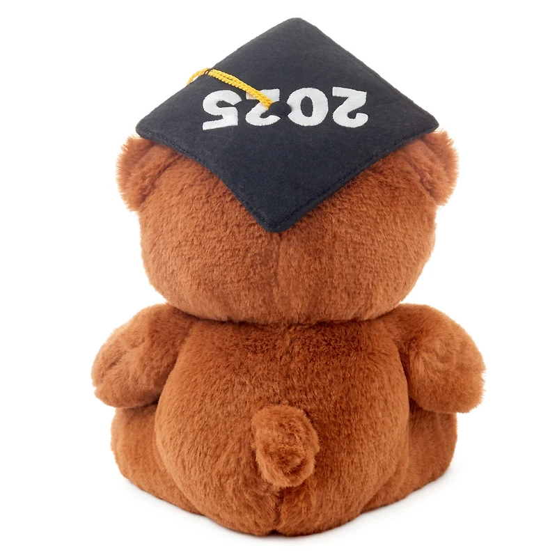 2025 Graduation Bear Plush, 8" for only USD 9.99 | Hallmark