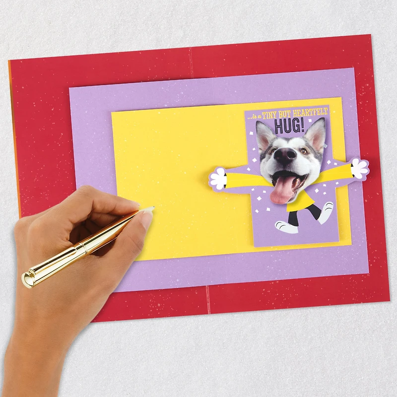 Hugging Dog Pop-Up Birthday Card With Mini Cards for only USD 6.99 | Hallmark