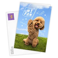 Cute Dog Cheering You On Custom Encouragement Card for only USD 4.99 | Hallmark