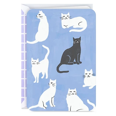 Black and White Cats Blank Card for only USD 2.99 | Hallmark