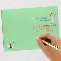 All Fun No Rules Grandparents Day Card for only USD 4.59 | Hallmark