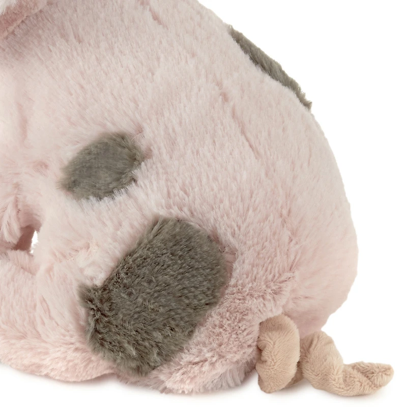Baby Pig Stuffed Animal, 6" for only USD 19.99 | Hallmark