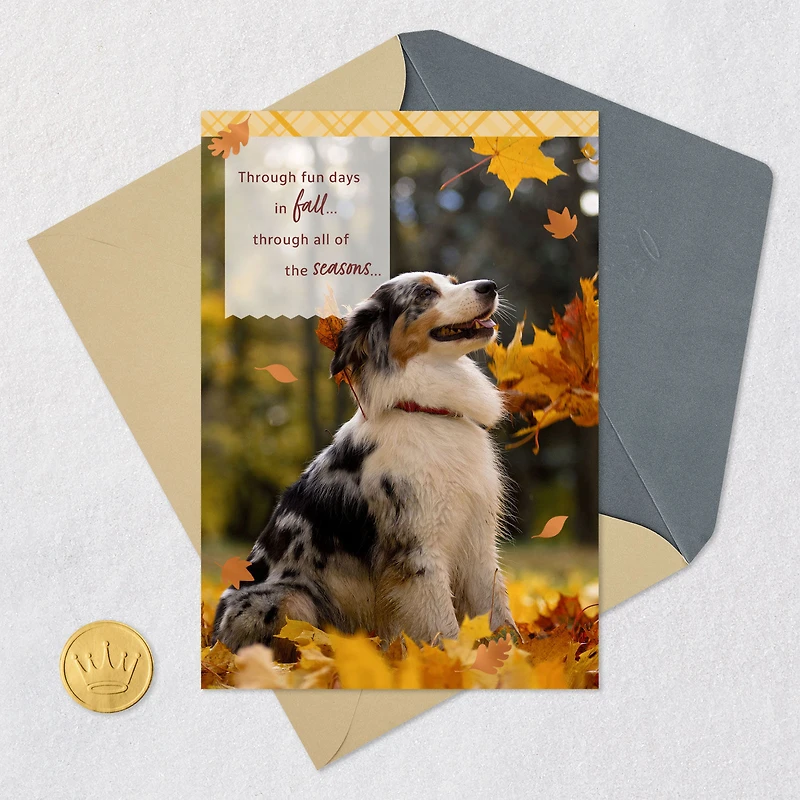 Thankful Through All Seasons Thanksgiving Card for only USD 2.99 | Hallmark