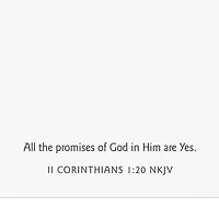 Sunny Spring Blooms Religious Easter Cards, Pack of 6 for only USD 5.99 | Hallmark