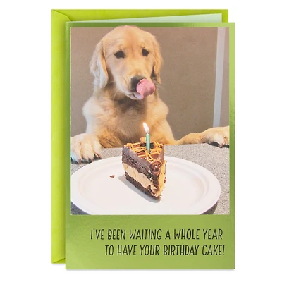 Dog Years Waiting for Cake Funny Birthday Card for only USD 4.49 | Hallmark