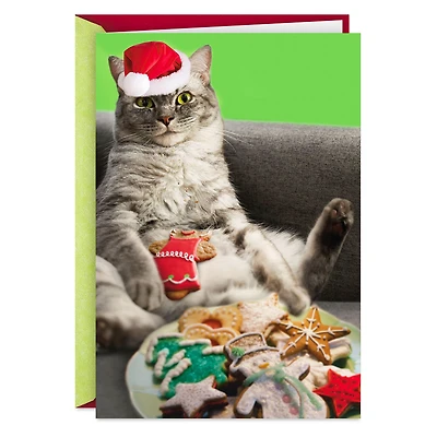 Eat All the Damn Cookies Cat in Santa Hat Funny Christmas Card for only USD 3.99 | Hallmark