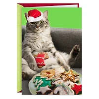 Eat All the Damn Cookies Cat in Santa Hat Funny Christmas Card for only USD 3.99 | Hallmark