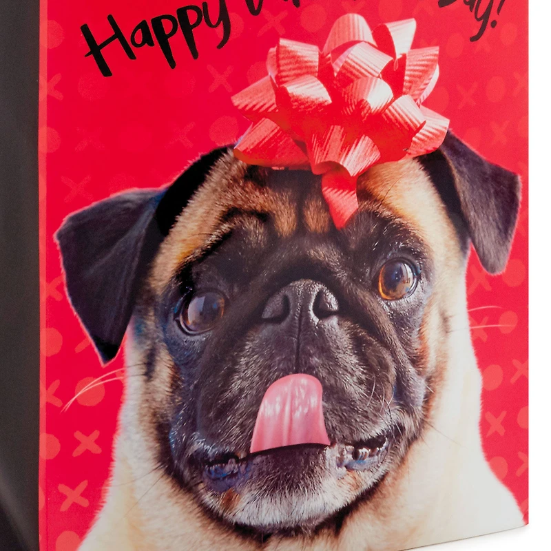 13" Pug and Happy Valentine's Day 2-Pack Large Gift Bags With Tissue Paper for only USD 9.99 | Hallmark