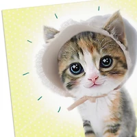 Cute Kitten in a Baby Bonnet Funny New Baby Card for only USD 4.49 | Hallmark