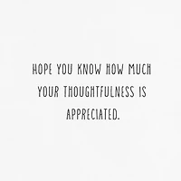 Fern Border Sympathy Thank You Notes, Pack of 10 for only USD 10.49 | Hallmark