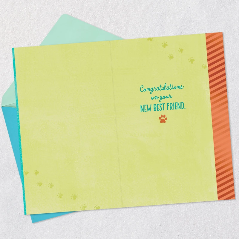Unleash the Love New Pet Congratulations Card for only USD 3.59 | Hallmark