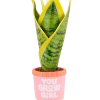You Grow Girl Houseplant Hallmark Ornament for only USD 14.99 | Hallmark