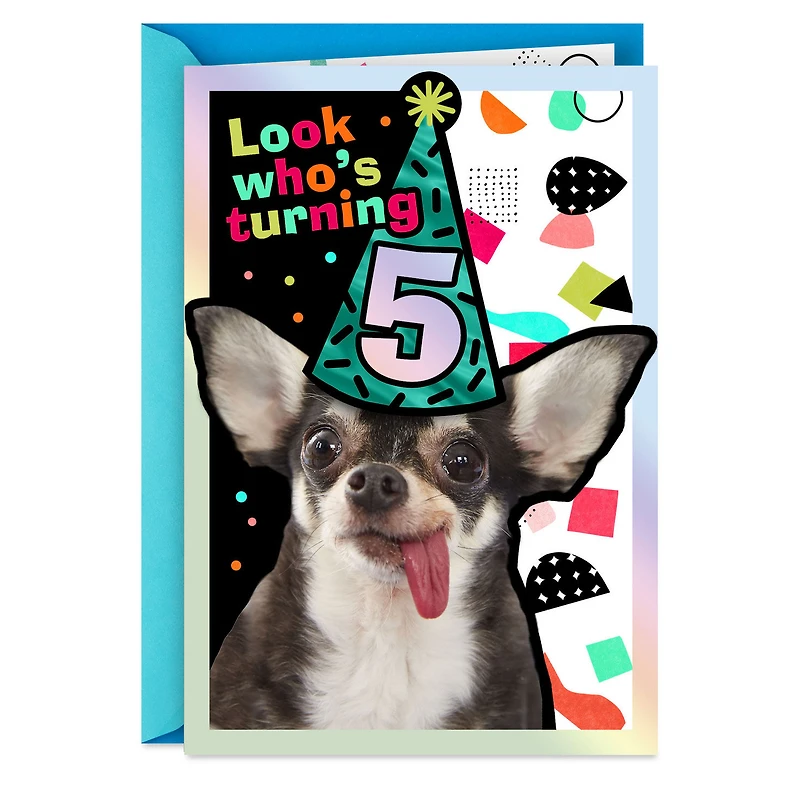 Five Years Loved 5th Birthday Card for only USD 2.99 | Hallmark
