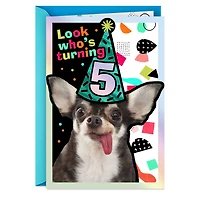 Five Years Loved 5th Birthday Card for only USD 2.99 | Hallmark