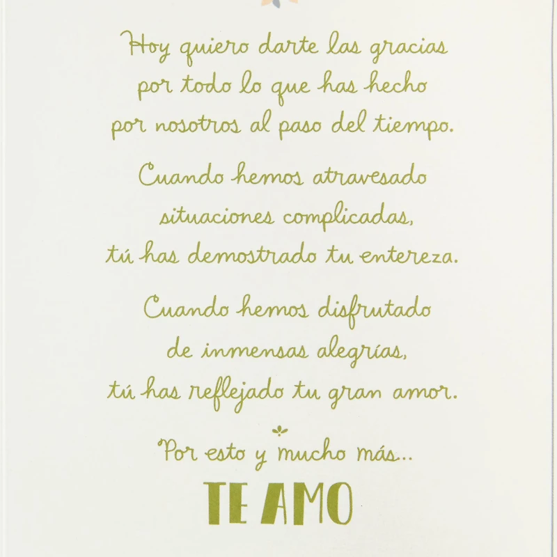 Thank You for All You Do Spanish-Language Anniversary Card for Spouse for only USD 5.99 | Hallmark