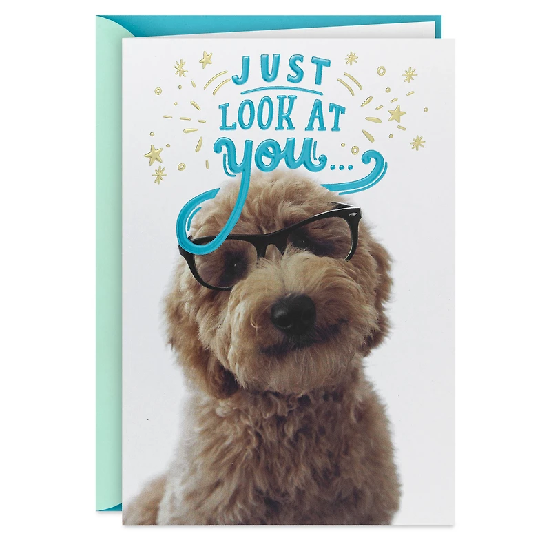 Look at You Being All Awesome Congratulations Card for only USD 5.59 | Hallmark