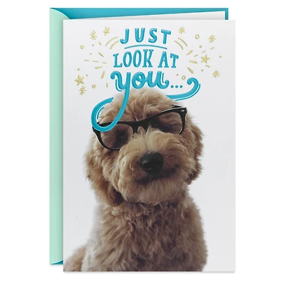 Look at You Being All Awesome Congratulations Card for only USD 5.59 | Hallmark