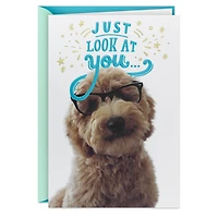 Look at You Being All Awesome Congratulations Card for only USD 5.59 | Hallmark