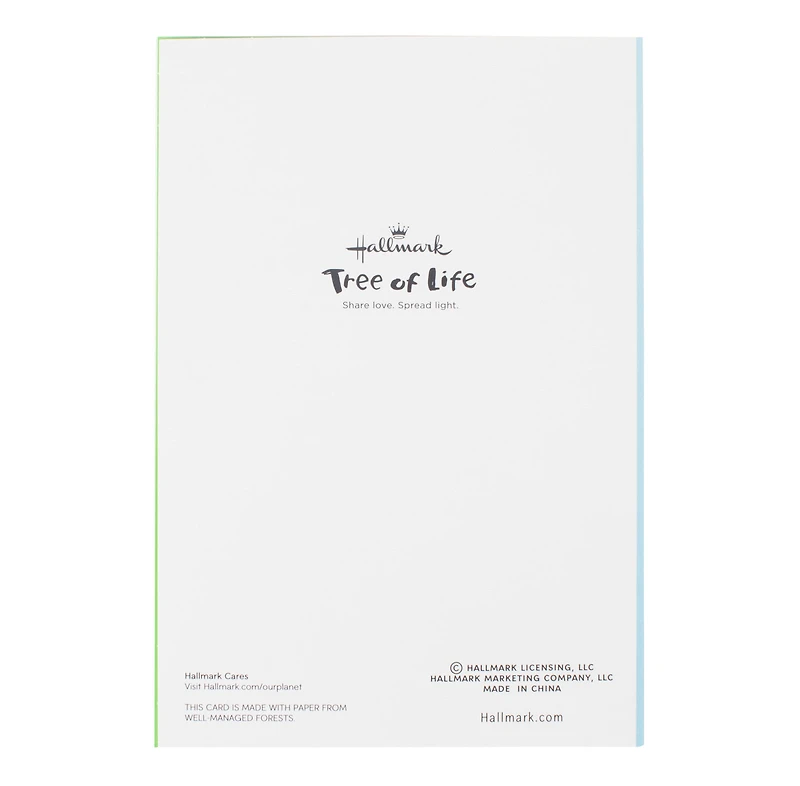 Bar Mitzvah, Bat Mitzvah and Mazel Tov Assorted Cards, Pack of 12 for only USD 8.49 | Hallmark