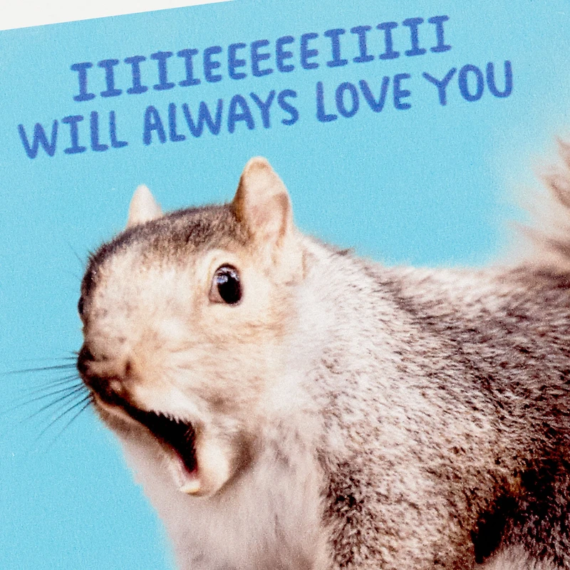 Singing Squirrel Photo Funny Coaster for only USD 6.99 | Hallmark
