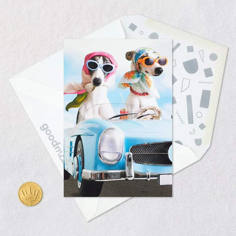 A Sun-in-Your-Face Kind of Day Funny Birthday Card for only USD 3.99 | Hallmark