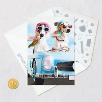 A Sun-in-Your-Face Kind of Day Funny Birthday Card for only USD 3.99 | Hallmark