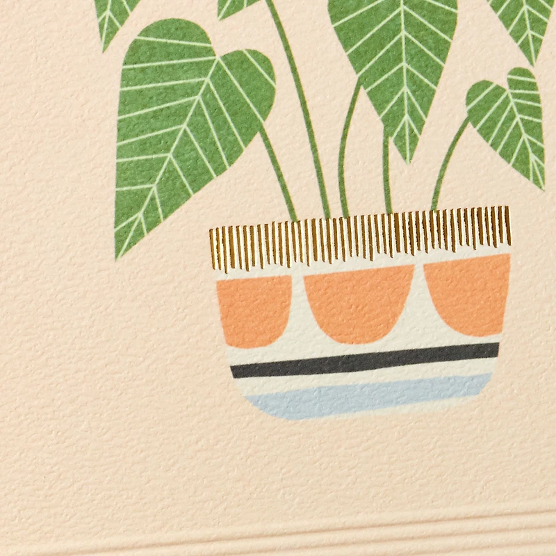 Potted Plant Blank Card for only USD 5.99 | Hallmark