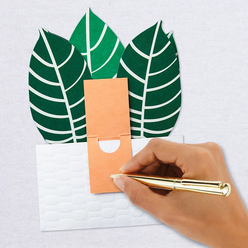 Zebra Plant Own Your Stripes 3D Pop-Up Thinking of You Card for only USD 7.99 | Hallmark