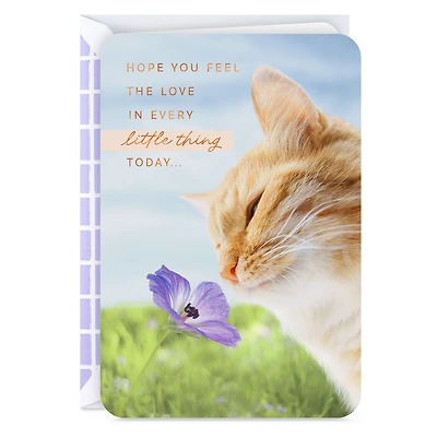 Hope You Feel the Love Today Card for only USD 2.99 | Hallmark