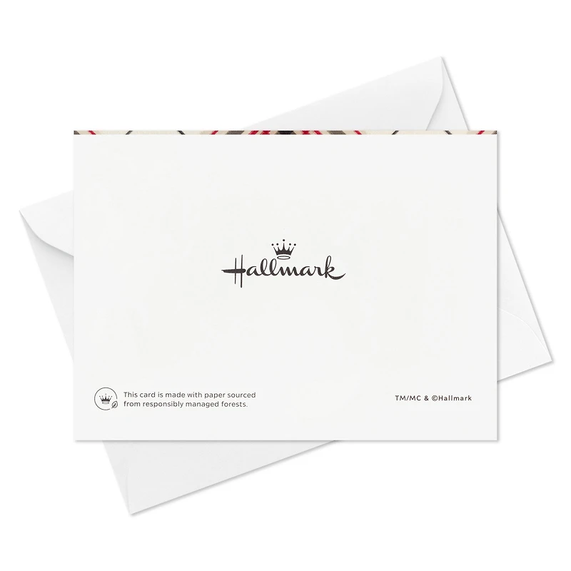 Festive Blank Assorted Boxed Holiday Note Cards, Pack of 24 for only USD 15.99 | Hallmark