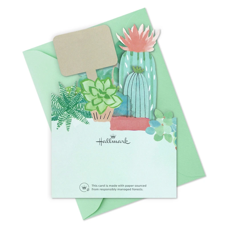 Succulents Collection Blank Thank You Notes, Pack of 8 for only USD 10.49 | Hallmark