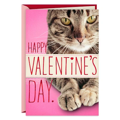 You're in My Chair Funny Valentine's Day Card From Cat for only USD 4.59 | Hallmark