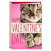 You're in My Chair Funny Valentine's Day Card From Cat for only USD 4.59 | Hallmark