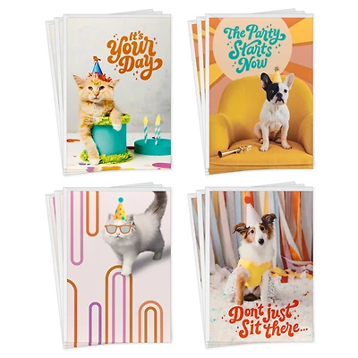 Party Pets Assorted Birthday Cards, Pack of 12 for only USD 8.99 | Hallmark