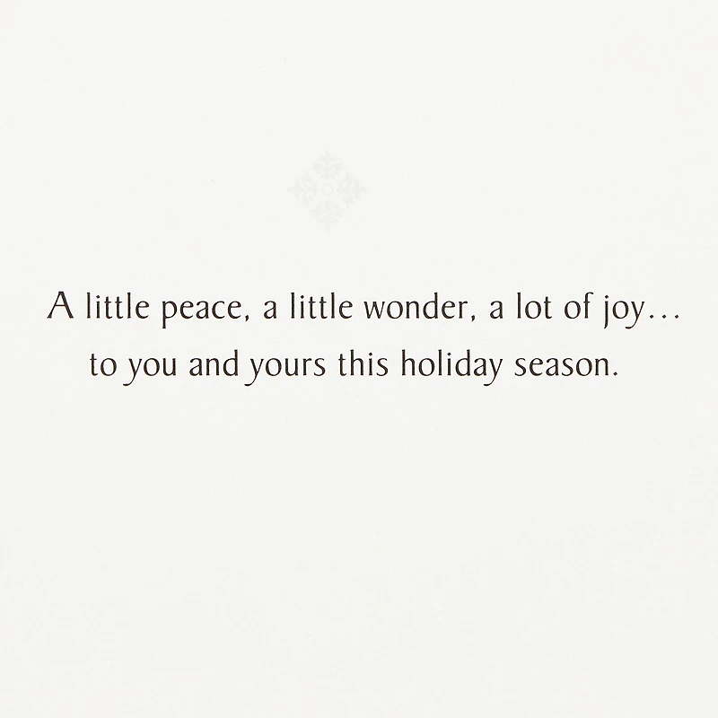 Silver Snowflakes Boxed Holiday Cards, Pack of 40 for only USD 15.49 | Hallmark