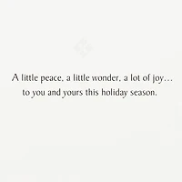 Silver Snowflakes Boxed Holiday Cards, Pack of 40 for only USD 15.49 | Hallmark