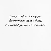 Pine and Berry Wreath Packaged Christmas Cards, Set of 5 for only USD 5.00 | Hallmark