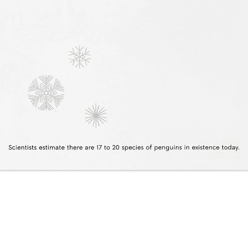 UNICEF Cute Critter Pyramid Boxed Christmas Cards, Pack of 12 for only USD 12.50 | Hallmark